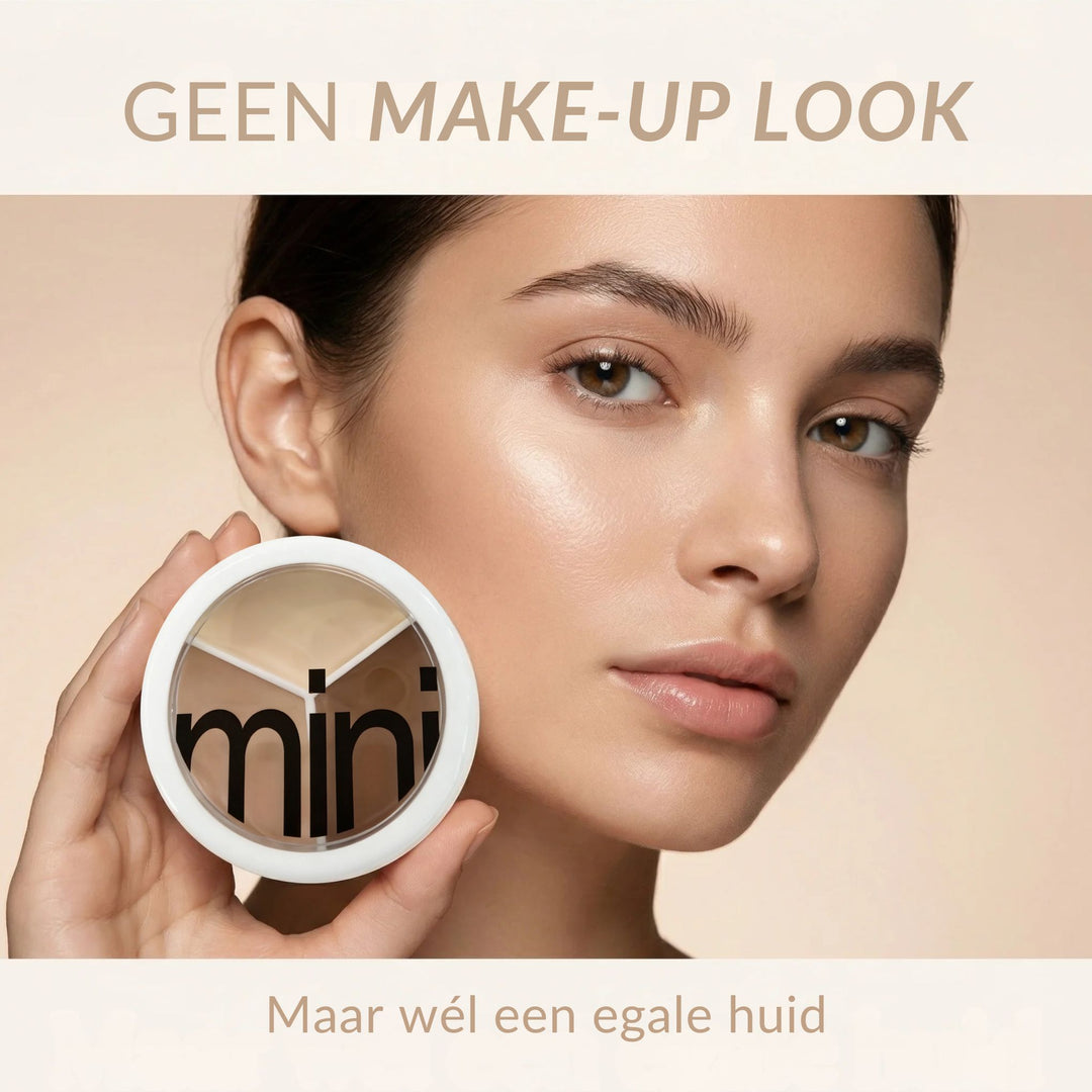 3-in-1 Perfectie Concealer