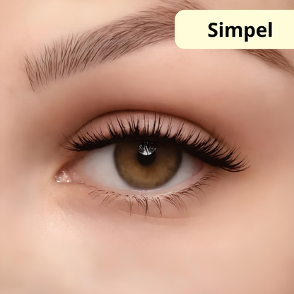 MAGICGLAM MAGNETISCHE WIMPERS